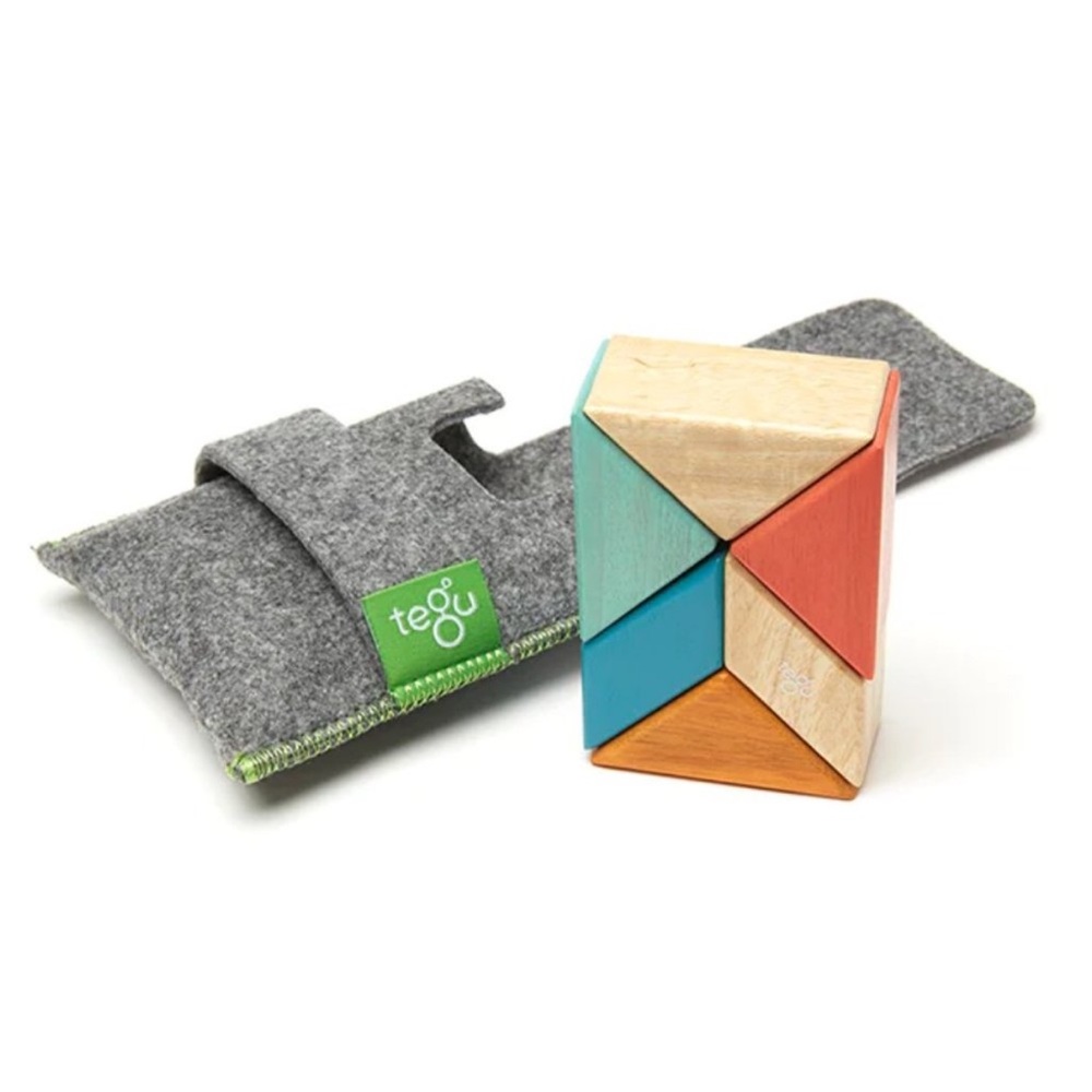 6 Piece Tegu Pocket Pouch Prism Magnetic Wooden Block Set